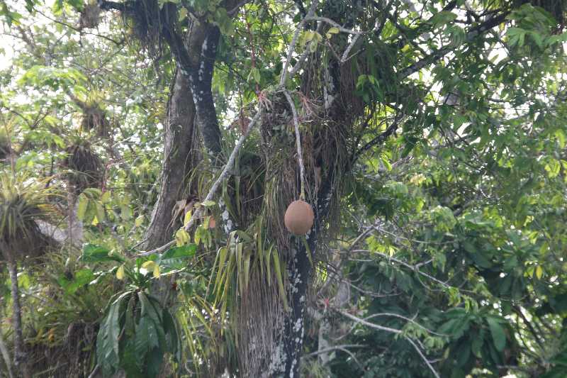 Mexico & Guatemala 2010 - 0935